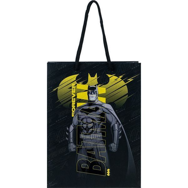 Пакет паперовий подарунковий Kite DC Comics DC24-265, 18х24см DC24-265 фото