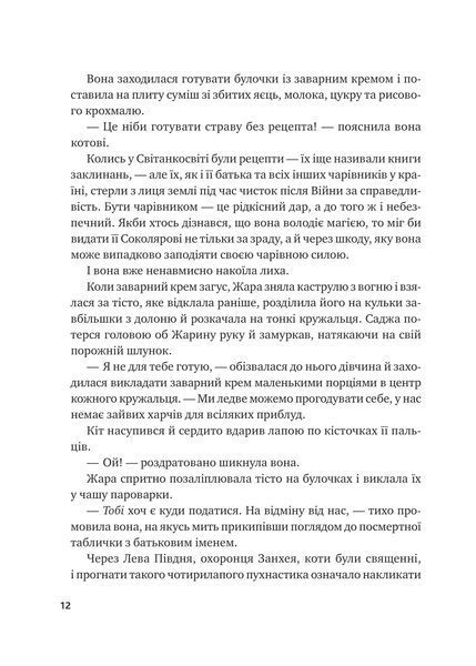 Книга Жара - С. Джей-Джонс 00-00036320 фото