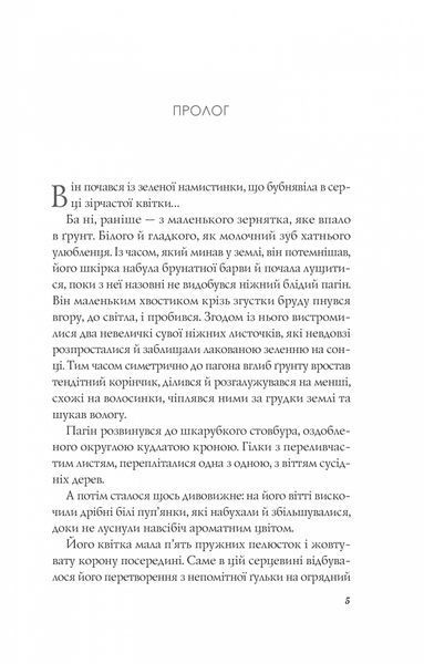 Книга Апельсин у калюжі - Людмила Баран 00-00031431 фото