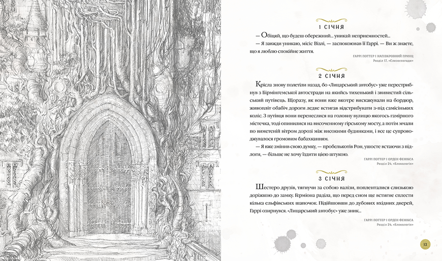 Книга Гаррі Поттер. Магічний рік. Велике ілюстроване видання - Джоан Ролінґ 00-00040140 фото