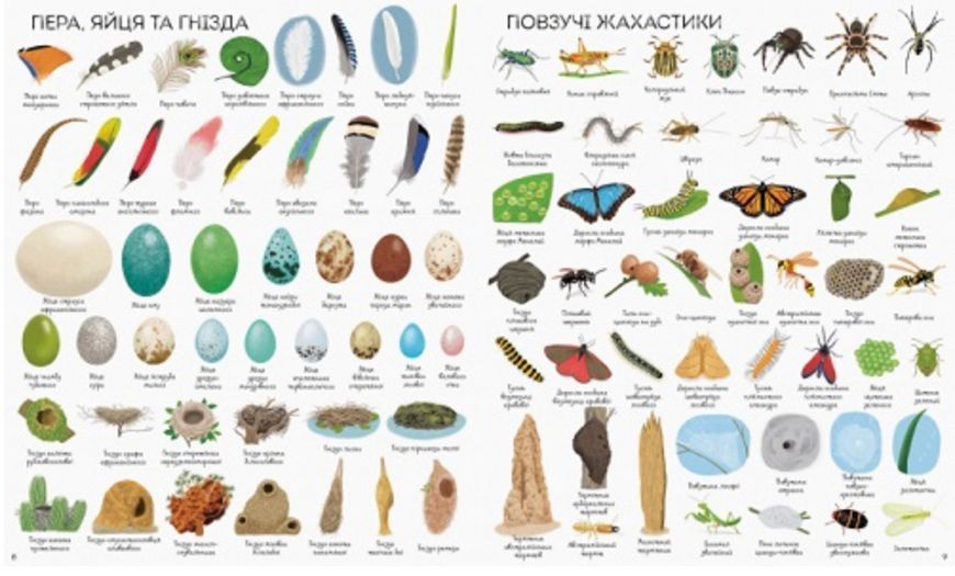 Книга 1000 назв природи 00-00007430 фото