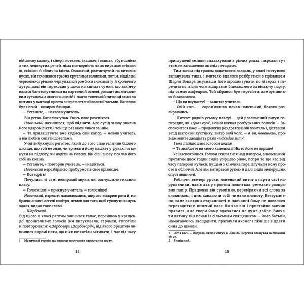 Книга Пані Боварі - Гюстав Флобер 00-00040270 фото