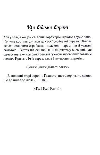 Книга Теревені по всьому місту. Книга 4 - Фенні Флеґґ 00-00031138 фото