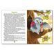 Книга Велика книга. Казочки &mdash; помічнички 00-00007190 фото 5