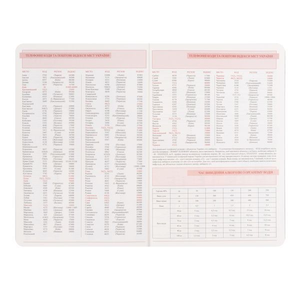Щоденник діловий Leo Planner датований Binario А5 2027 м'який графіт 368 сторінок 252726 252726 фото