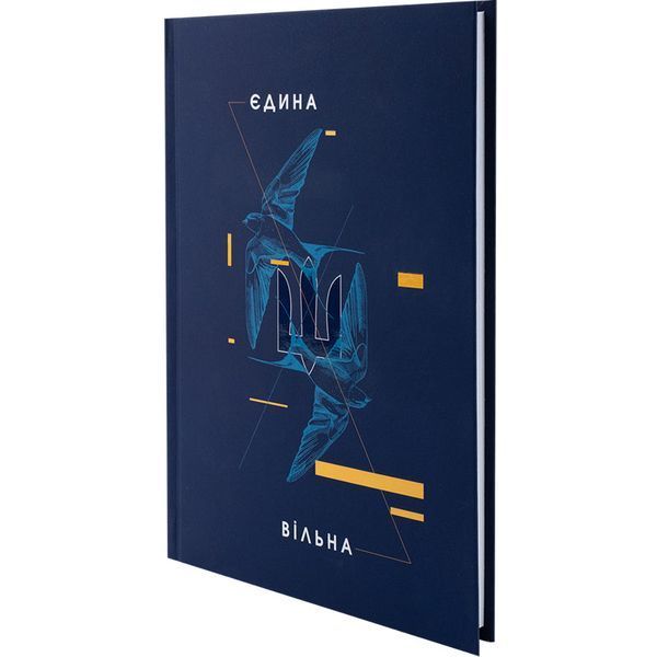 Книга записна Axent UA Єдина 8455-4-A, А5, 96 аркушів, клітинка, тверда обкладинка 8455-4-A фото