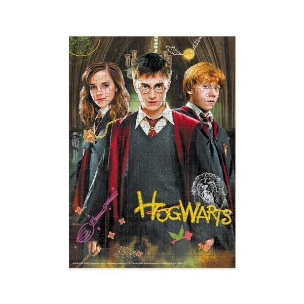 Пазл DoDo 250 елементів Medium-S - Harry Potter. Гаррі та друзі 200498 200498 фото