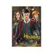 Пазл DoDo 250 елементів Medium-S - Harry Potter. Гаррі та друзі 200498 200498 фото 3