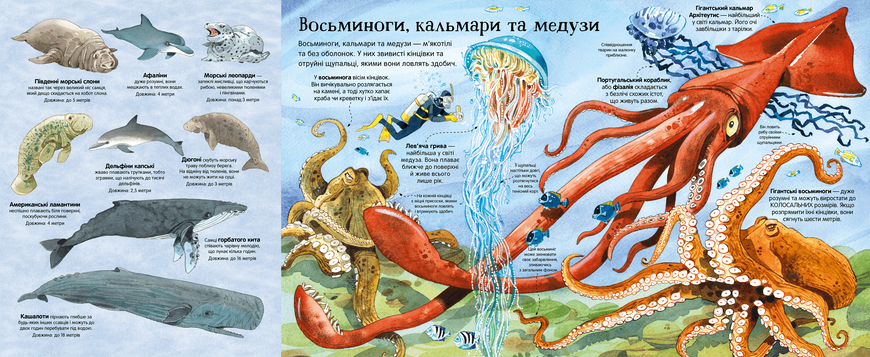 Книга Велика книга морських мешканців - Мінна Лейсі 00-00005286 фото