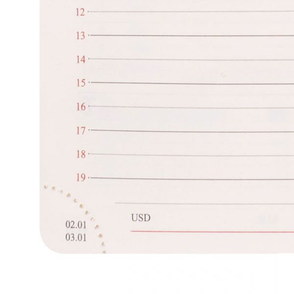 Щоденник діловий Leo Planner Case A5 датований 2027 інтегральний сірий 368 сторінок 252746 252746 фото