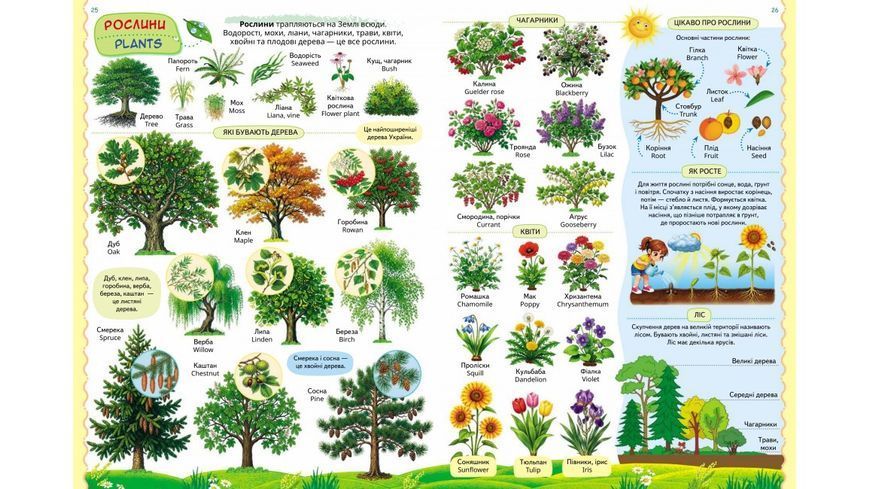 Книга Малюк пізнає світ - Вікторія Кулик 00-00043477 фото