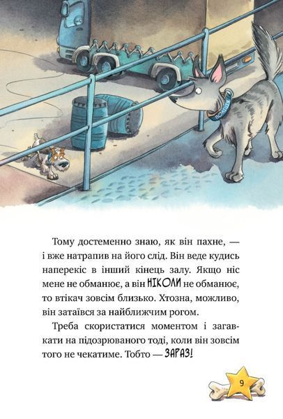 Книга Інспектор Лап. Книга 2. Услід за викрадачкою діамантів - Катя Райдер 00-00022740 фото